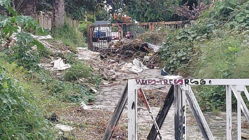 Canal Patria Foto Pablo Toledo (6).jpg